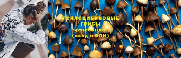 тгк Баксан
