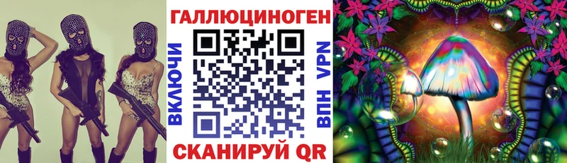 наркотики  Белёв  Галлюциногенные грибы Psilocybe 